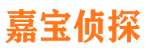 秀峰市私家调查